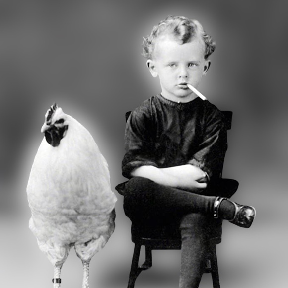 Meet your Posher, Bruce - Picture 1 of 1